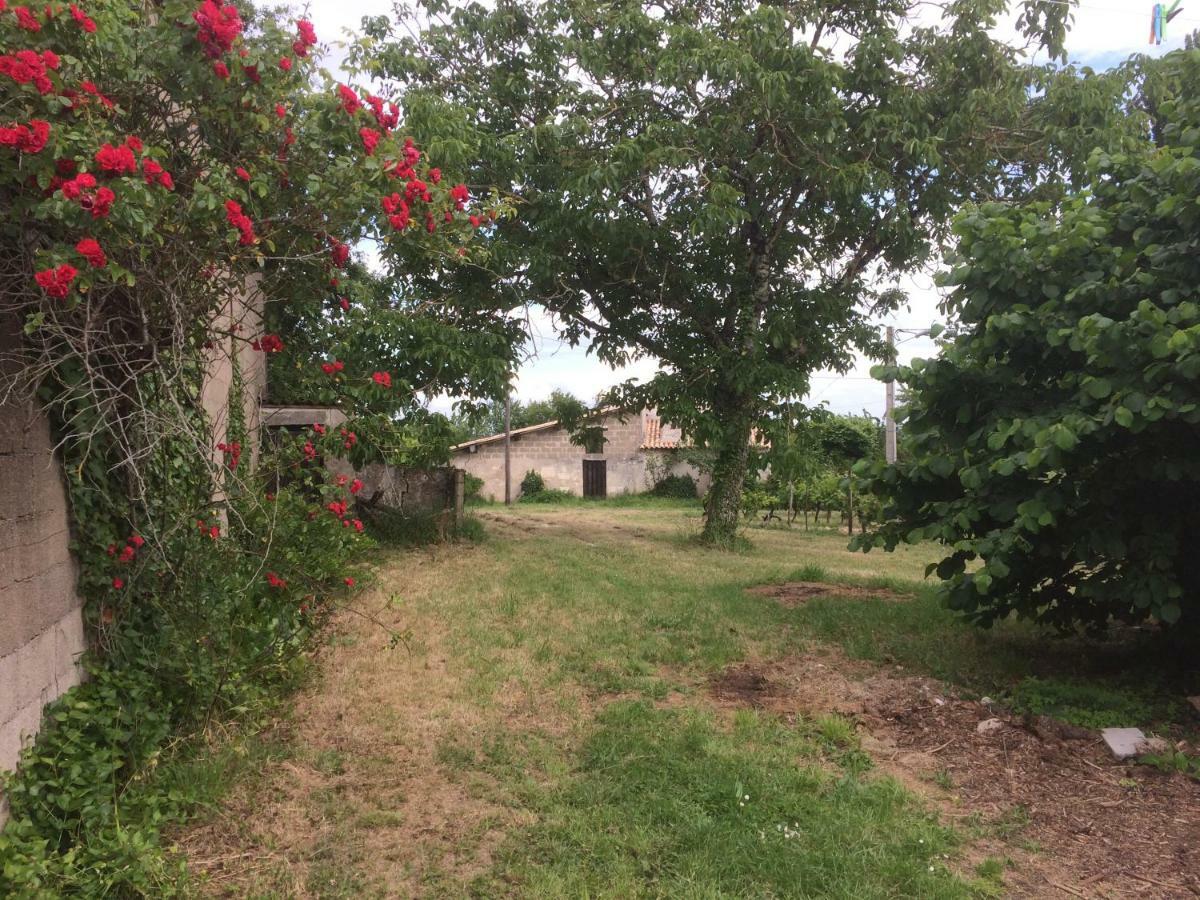 Villa Gite Brandet à Savignac-sur-l'Isle Extérieur photo